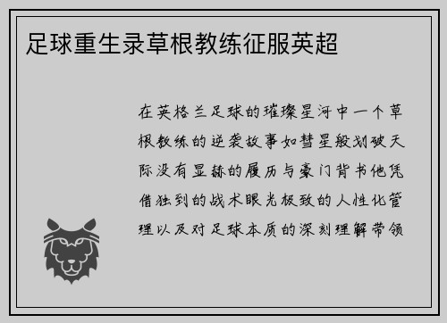 足球重生录草根教练征服英超